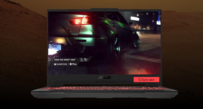Asus TUF Gaming A15 display